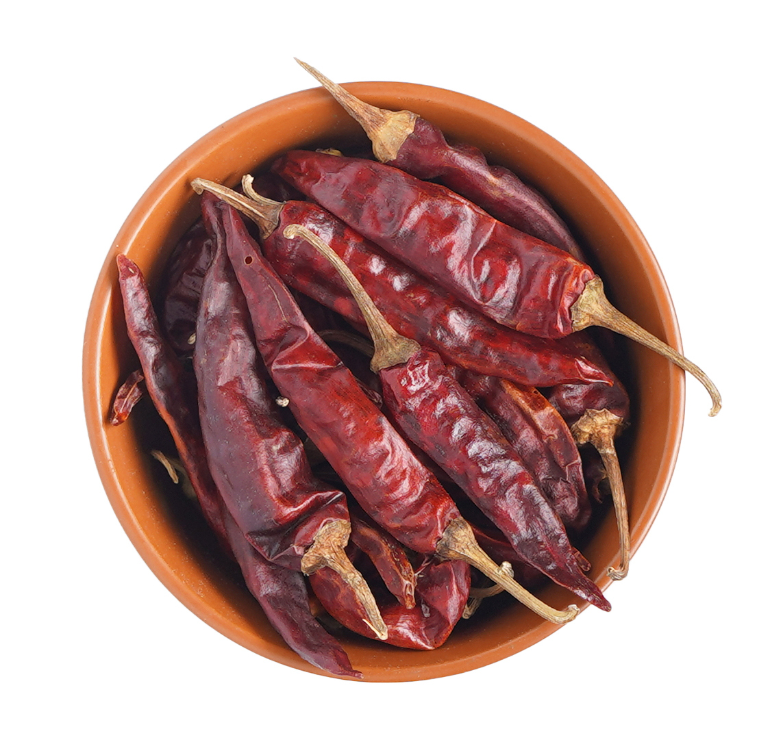 PTR RED CHILLI 100GM