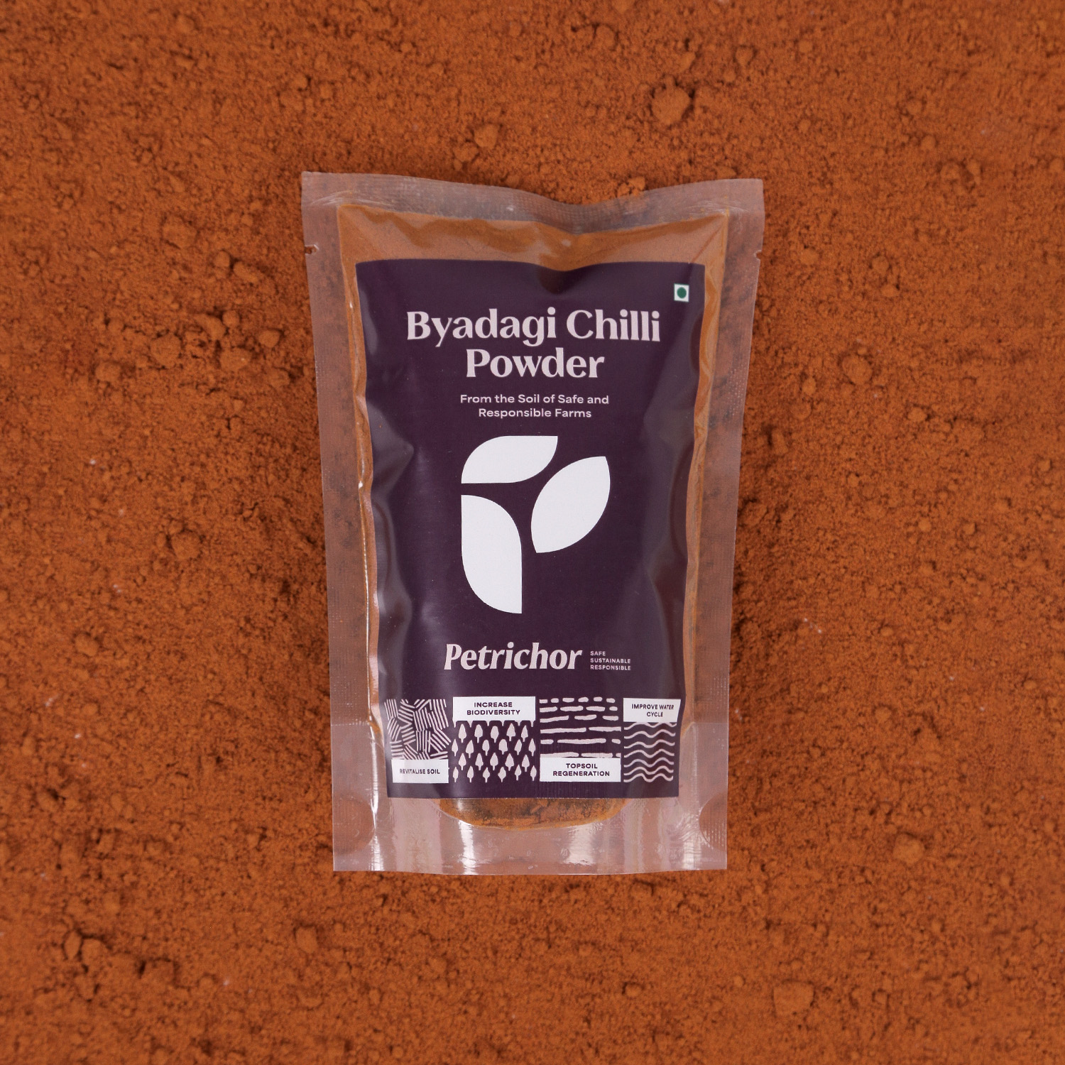 PTR BYADAGI CHILLI POWDER 100G